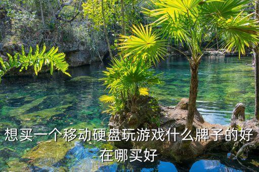 想買一個(gè)移動(dòng)硬盤玩游戲什么牌子的好在哪買好