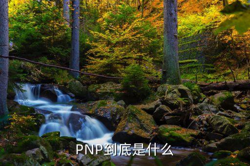 PNP到底是什么
