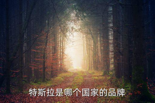 特斯拉的標志，電動車tesla 標志是什么啊