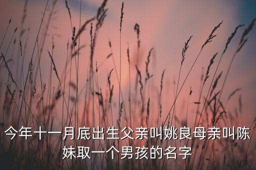 今年十一月底出生父親叫姚良母親叫陳妹取一個男孩的名字