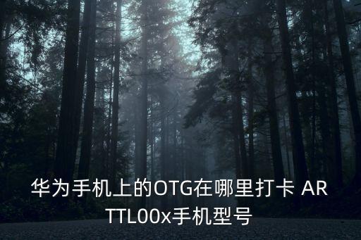 華為手機上的OTG在哪里打卡 ARTTL00x手機型號