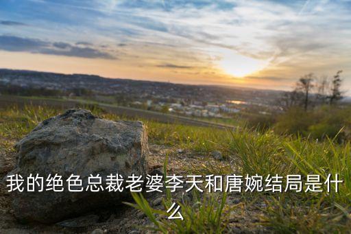 我的絕色總裁老婆李天和唐婉結(jié)局是什么
