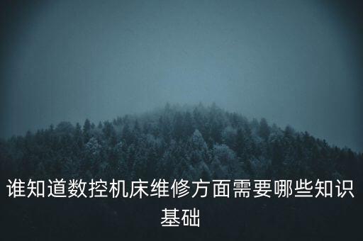 誰知道數(shù)控機床維修方面需要哪些知識基礎(chǔ)