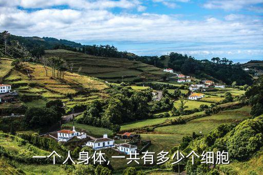 一個(gè)人身體,一共有多少個(gè)細(xì)胞