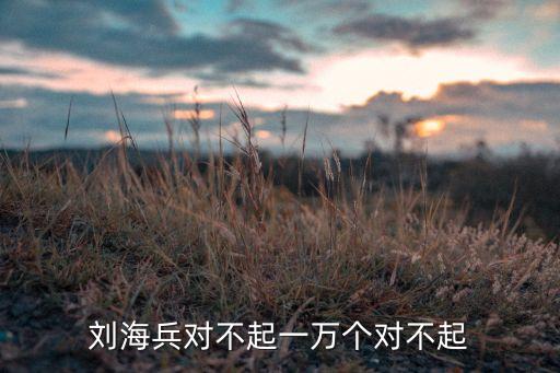 劉海兵，可以把劉海兵名字翻譯成韓文嗎