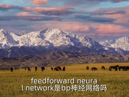 feedforward neural network是bp神經(jīng)網(wǎng)絡(luò)嗎