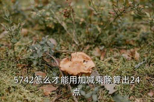 5742怎么才能用加減乘除算出24點(diǎn)