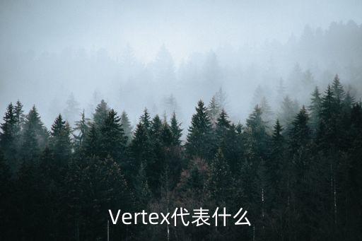 Vertex代表什么