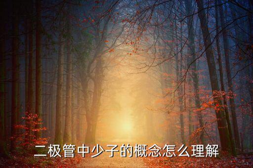 二極管中少子的概念怎么理解