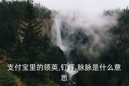脈脈電腦版,關(guān)于釘釘和脈脈你必須知道的事情