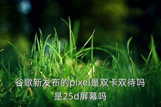 谷歌新發(fā)布的pixel是雙卡雙待嗎是25d屏幕嗎