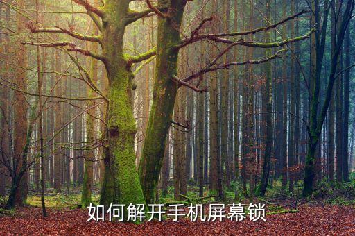 如何解開手機(jī)屏幕鎖