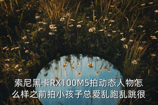 rx100m5，索尼黑卡RX100M5拍動(dòng)態(tài)人物怎么樣之前拍小孩子總愛亂跑亂跳很