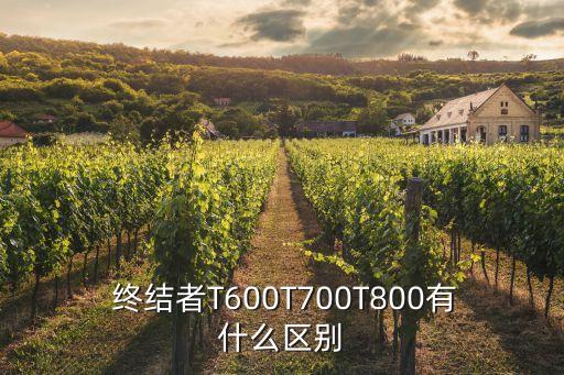  終結(jié)者T600T700T800有什么區(qū)別