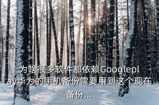 為啥很多軟件都依賴Googleplay華為的手機(jī)備份需要用到這個(gè)現(xiàn)在備份...