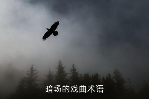 暗場，什么是房地產(chǎn)暗場