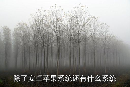 除了安卓蘋果系統(tǒng)還有什么系統(tǒng)