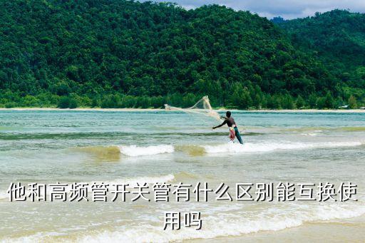 他和高頻管開關(guān)管有什么區(qū)別能互換使用嗎
