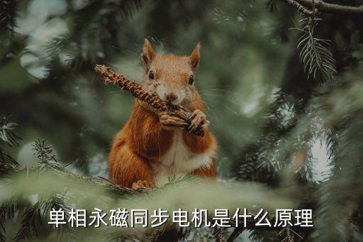 單相永磁同步電機是什么原理