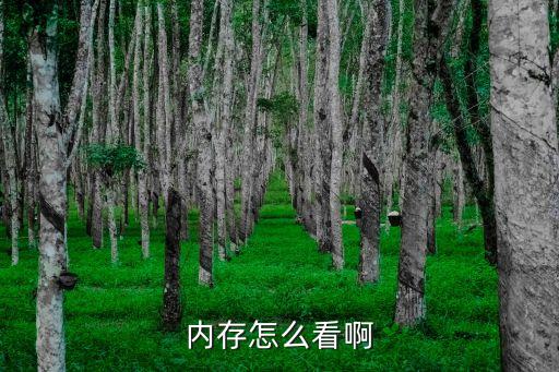 內(nèi)存怎么看啊