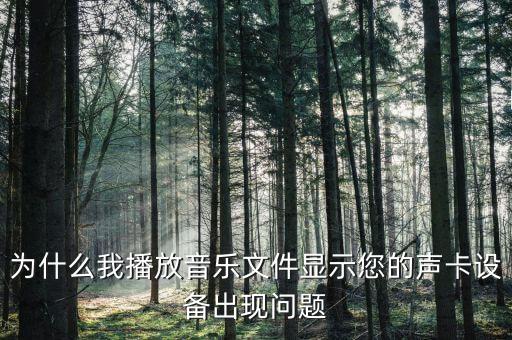 為什么我播放音樂(lè)文件顯示您的聲卡設(shè)備出現(xiàn)問(wèn)題