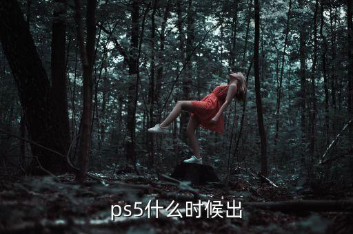 ps5發(fā)售時(shí)間，playstation 5什么時(shí)候出