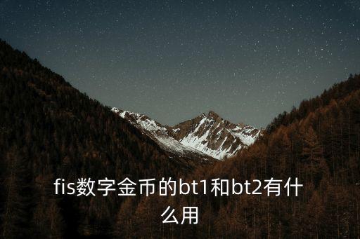 fis數字金幣的bt1和bt2有什么用