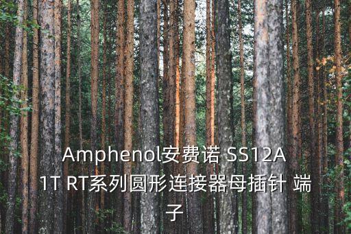 amphenol，AmphenolAST 這是什么廠