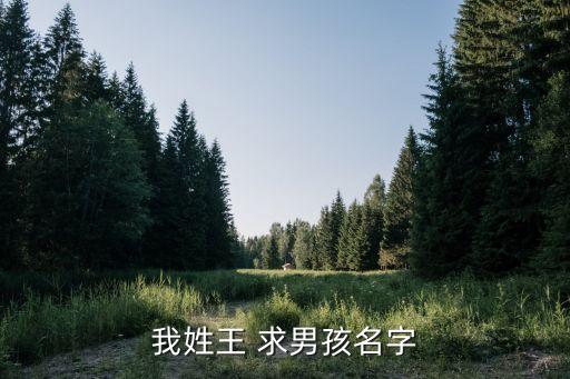 我姓王 求男孩名字