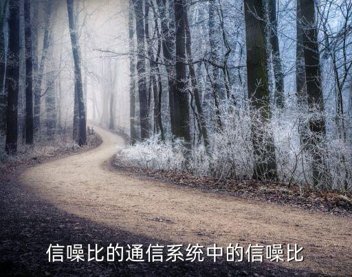 載噪比