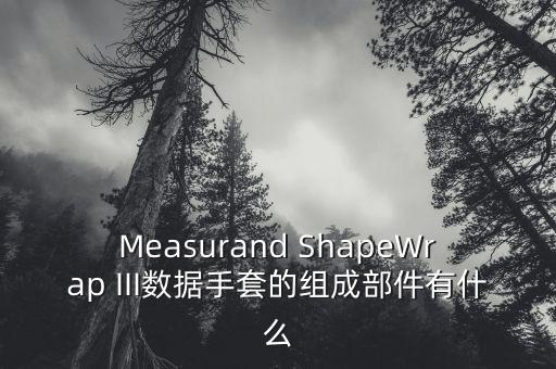 Measurand ShapeWrap III數(shù)據(jù)手套的組成部件有什么