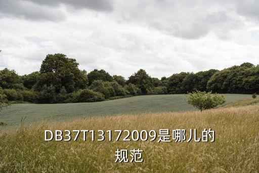 db37，DB37T13172009是哪兒的規(guī)范