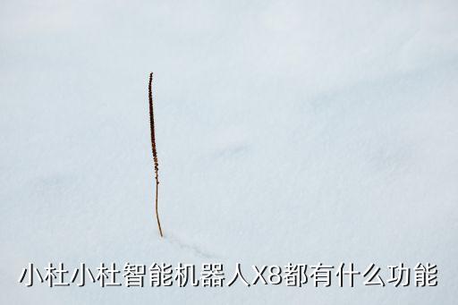 小杜小杜智能機(jī)器人X8都有什么功能