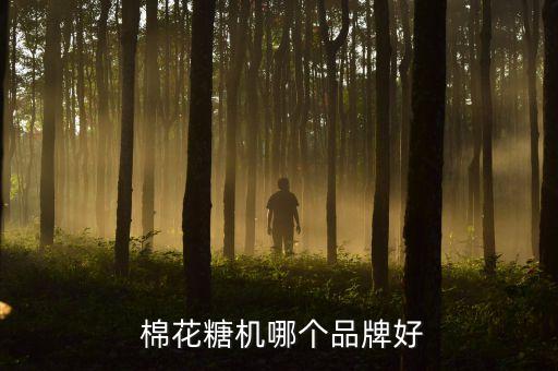  棉花糖機(jī)哪個(gè)品牌好