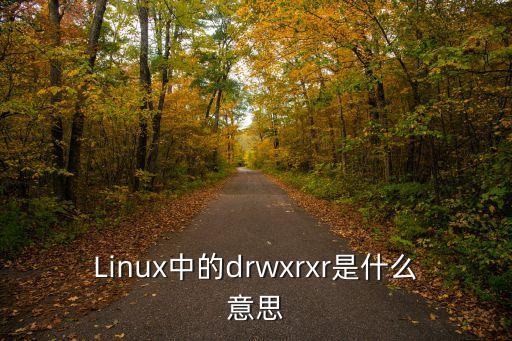 xr是什么，rrer是什么意思啊