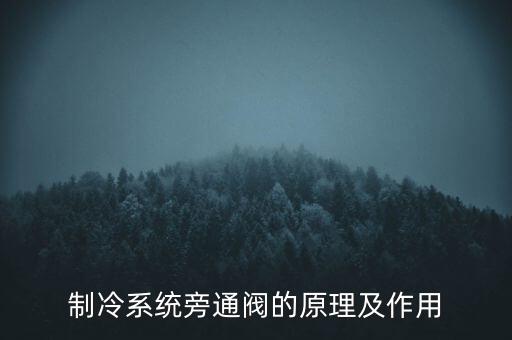 制冷系統(tǒng)旁通閥的原理及作用