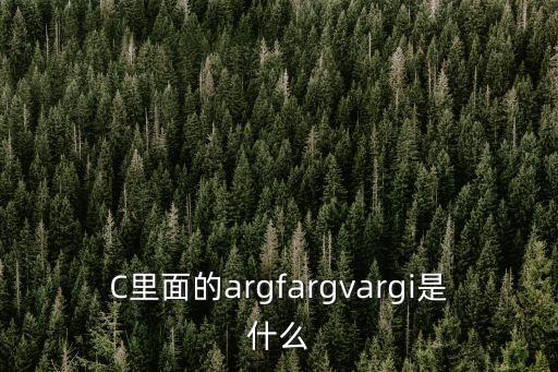 C里面的argfargvargi是什么
