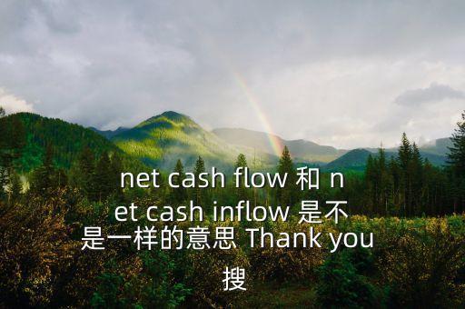 net cash flow 和 net cash inflow 是不是一樣的意思 Thank you  搜