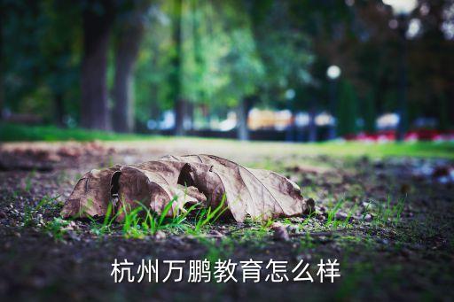 杭州萬(wàn)鵬教育怎么樣