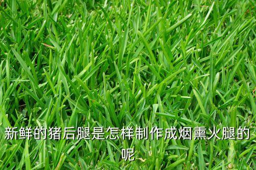 新鮮的豬后腿是怎樣制作成煙熏火腿的呢