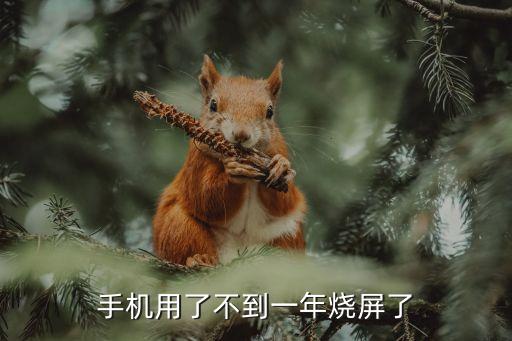 手機(jī)燒屏，燒屏手機(jī)傷眼睛嗎