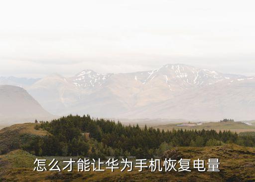 怎么才能讓華為手機(jī)恢復(fù)電量