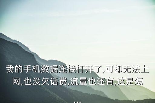 我的手機(jī)數(shù)據(jù)連接打開了,可卻無法上網(wǎng),也沒欠話費(fèi),流量也還有,這是怎...
