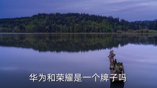 榮耀與華為的關(guān)系,華為和榮耀之間有什么關(guān)系?