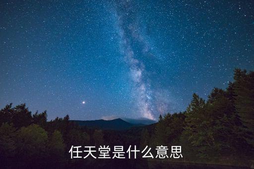任天堂是什么意思