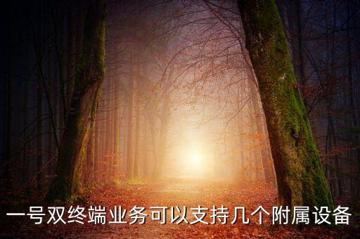 一號(hào)雙終端業(yè)務(wù)可以支持幾個(gè)附屬設(shè)備