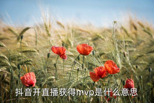 mvp是什么，抖音開直播獲得mvp是什么意思