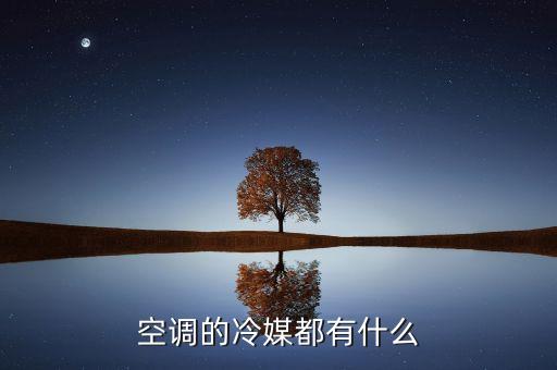 空調(diào)冷媒，空調(diào)的冷媒都有什么
