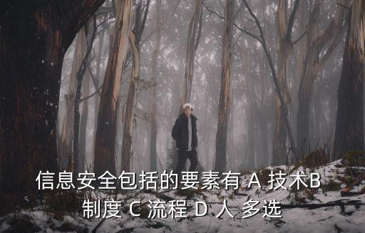 信息安全包括的要素有 A 技術B 制度 C 流程 D 人 多選