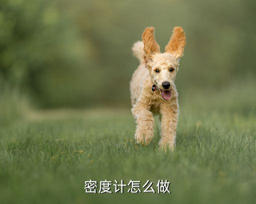 密度計怎么做